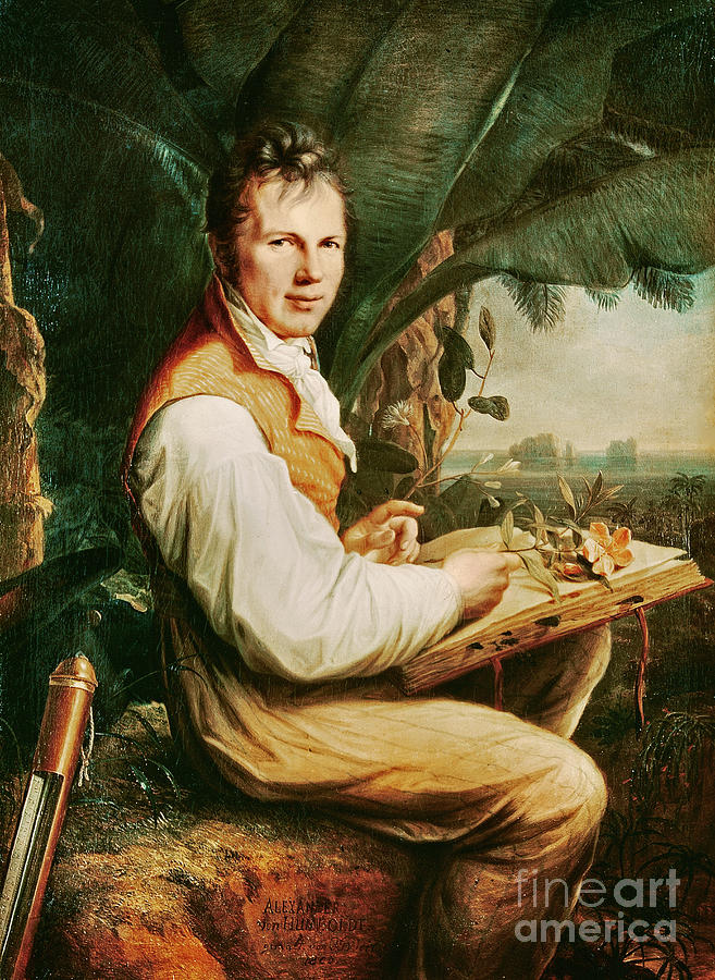 Portrait Painting - Alexander Von Humboldt, 1809 by Friedrich Georg Weitsch