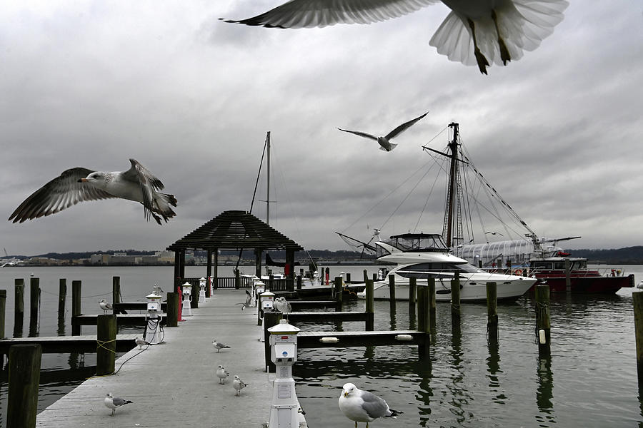 Alexandria Waterfront Features - Photograph by The Washington Post