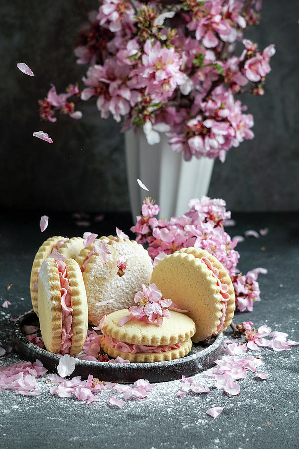 Alfajores De Maizena - Argentinian Pastry With Cream Filling Photograph by Julia Bogdanova