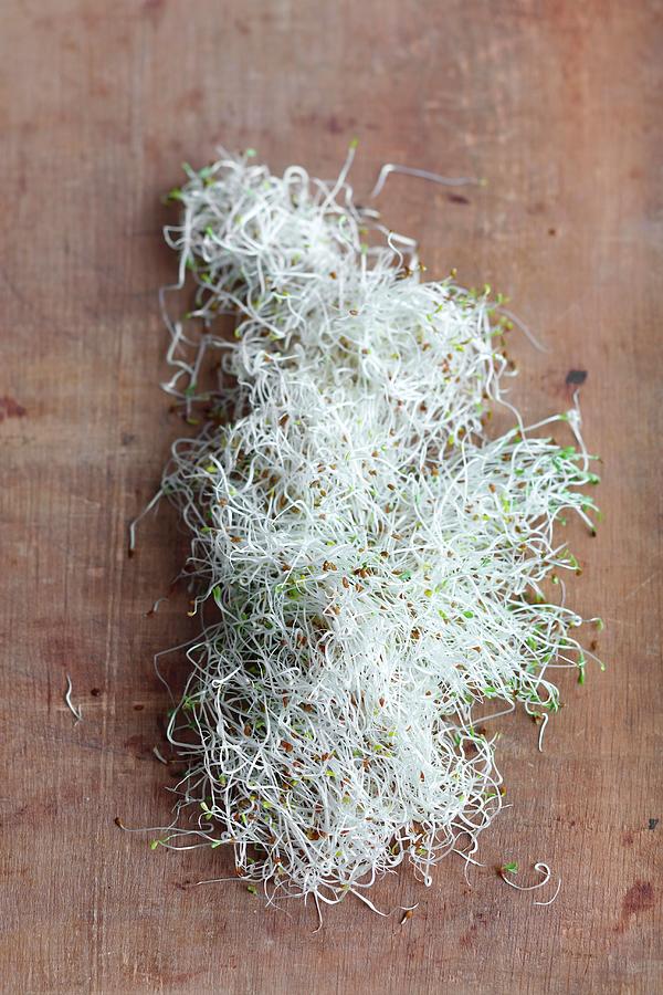 Alfalfa Sprouts On A Wooden Surface Photograph by Rua Castilho