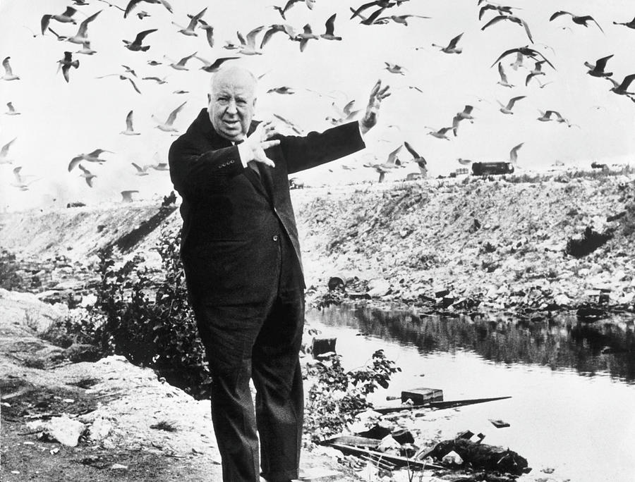 Alfred Hitchcock Surrounded By Seagulls Photograph by Keystone-france