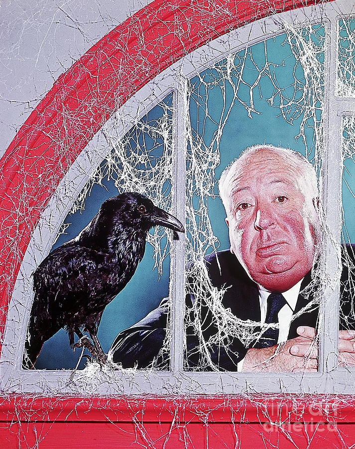 Alfred Hitchcock With Raven Photograph by Bettmann Alfred Hitchcock With Raven Photograph by Bettmann