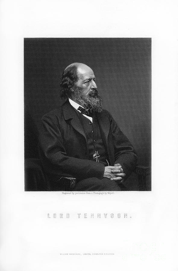 Alfred Tennyson, 1st Baron Tennyson Drawing by Print Collector