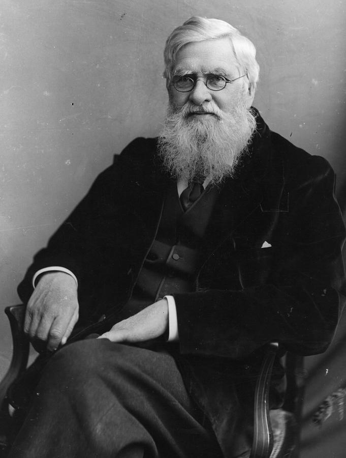 Alfred Wallace Photograph by Hulton Archive