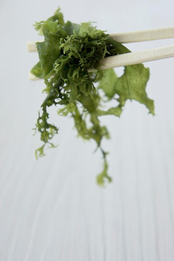 Algae On Chopsticks japan Photograph by Martina Schindler