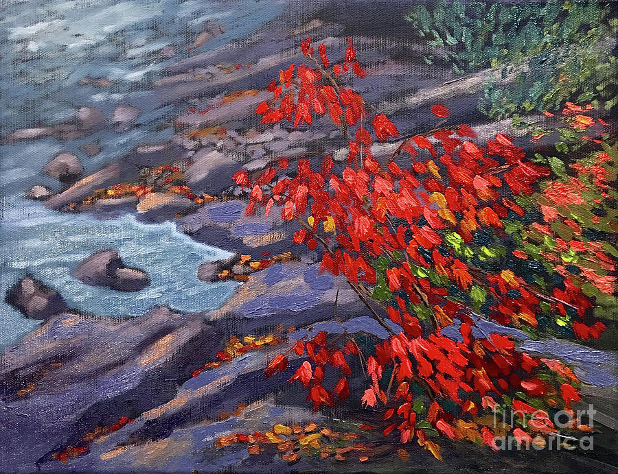 Algonquin Maple Painting by Shelley Newman