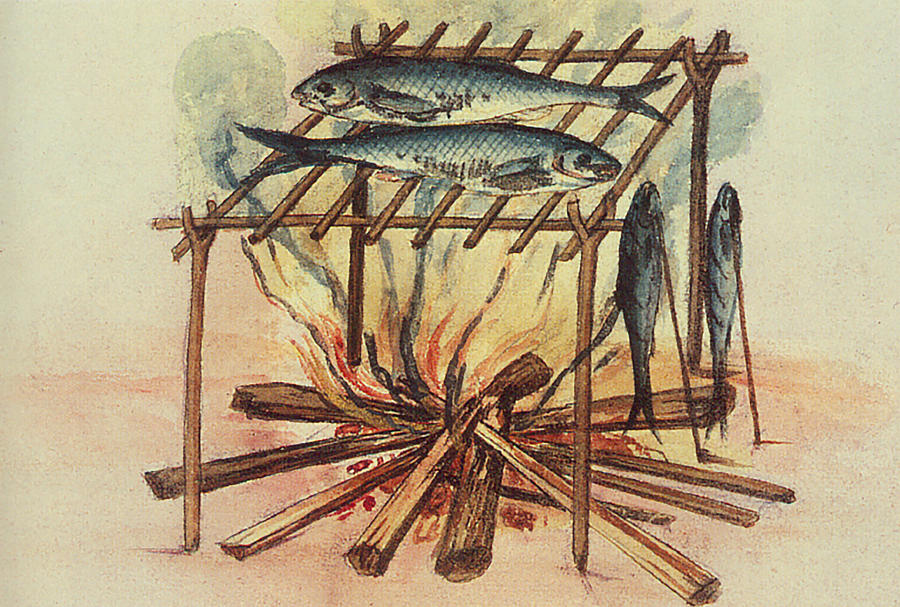 Algonquin Method For Curing Fish, 1585 Photograph by Science Source