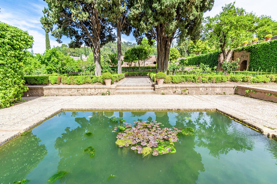 Alhambra Pool Photograph by Douglas Wielfaert