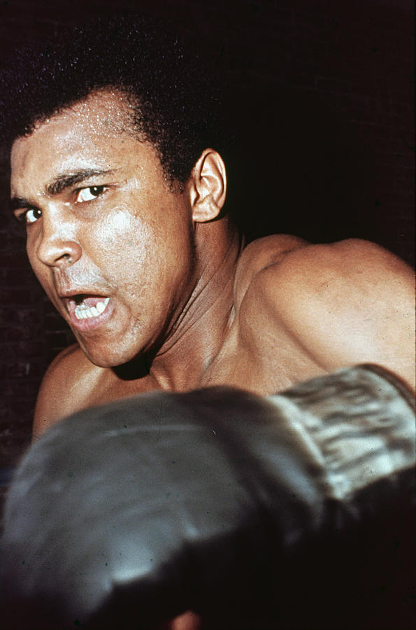 Ali Glares At Opponant Photograph by Hulton Archive