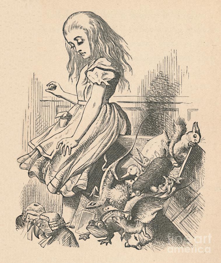Alice And Animals Chaos And The Court Drawing by Print Collector