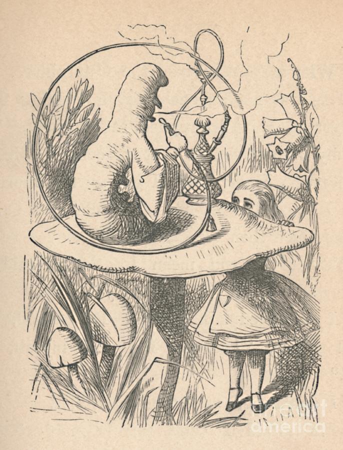 Alice And The Caterpillar, 1889 Drawing by Print Collector