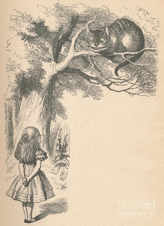 Alice And The Cheshire Cat, 1889 Drawing by Print Collector