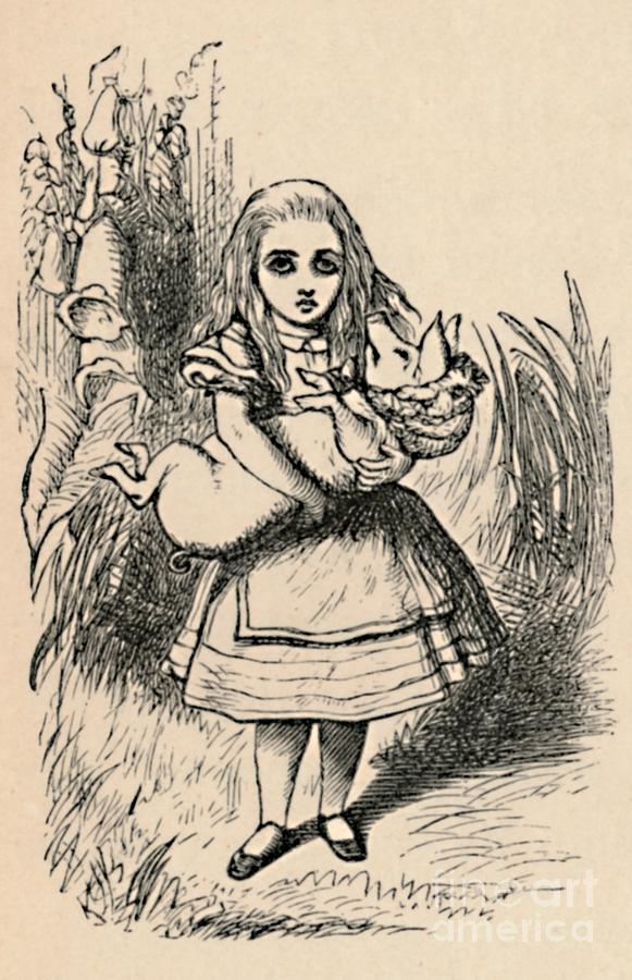 Alice Holding A Pig In Her Arms, 1889 Drawing by Print Collector