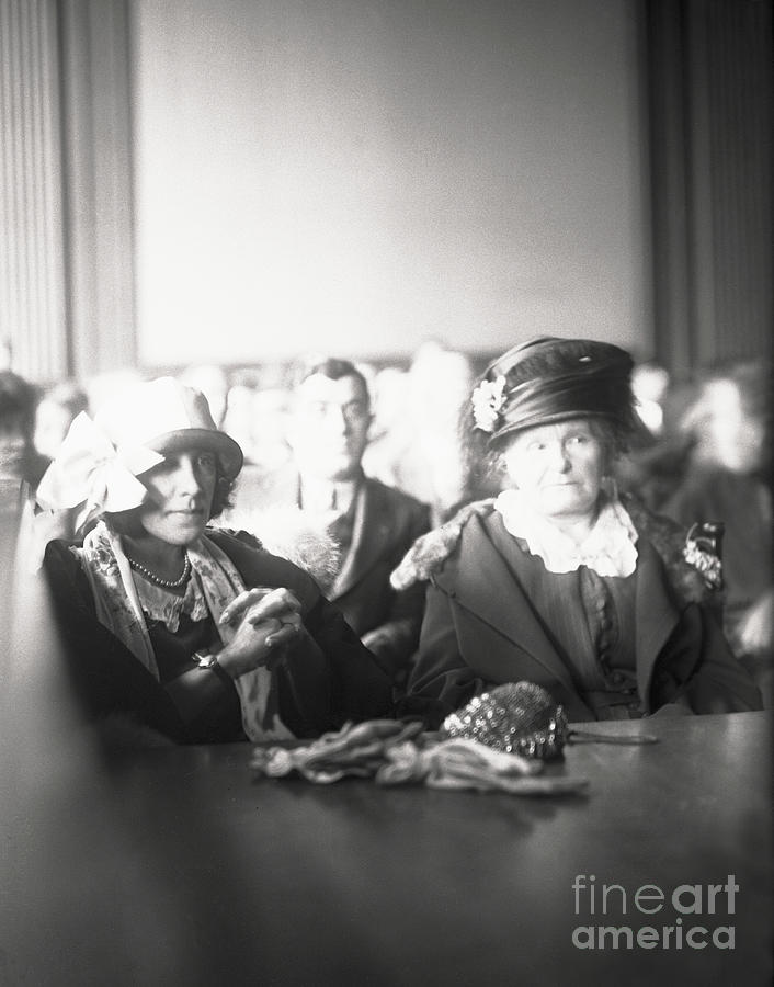 Alice Rhinelander Watching A Trial Photograph by Bettmann