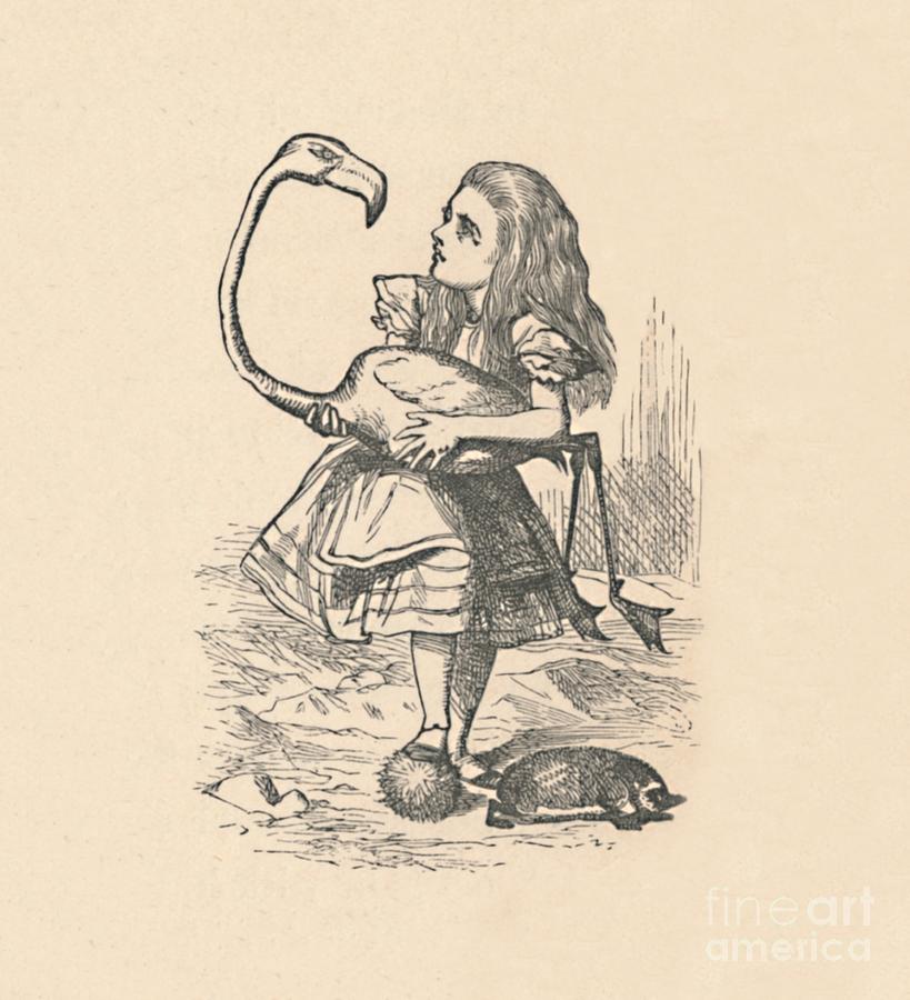 Alice Tries To Play Croquet Drawing by Print Collector