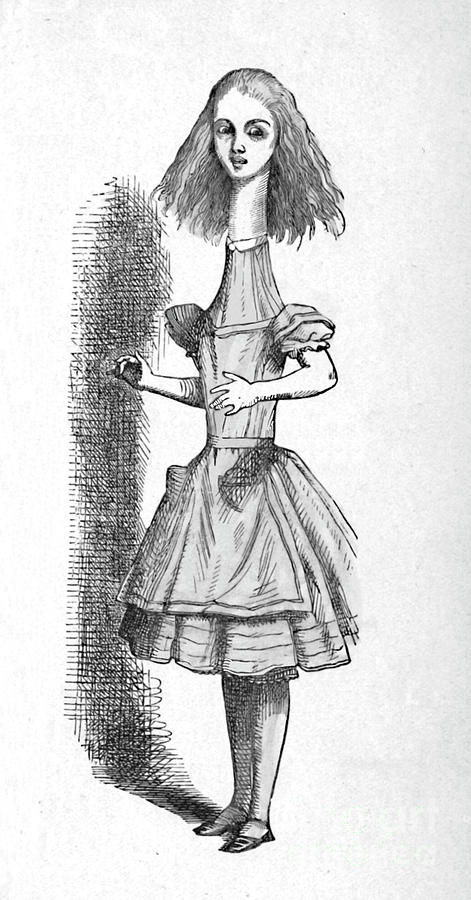 Alice With A Long Neck, 1889 Drawing by Print Collector