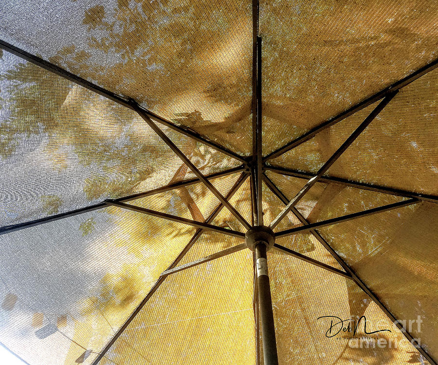 Alices Umbrella Photograph by Deb Nakano