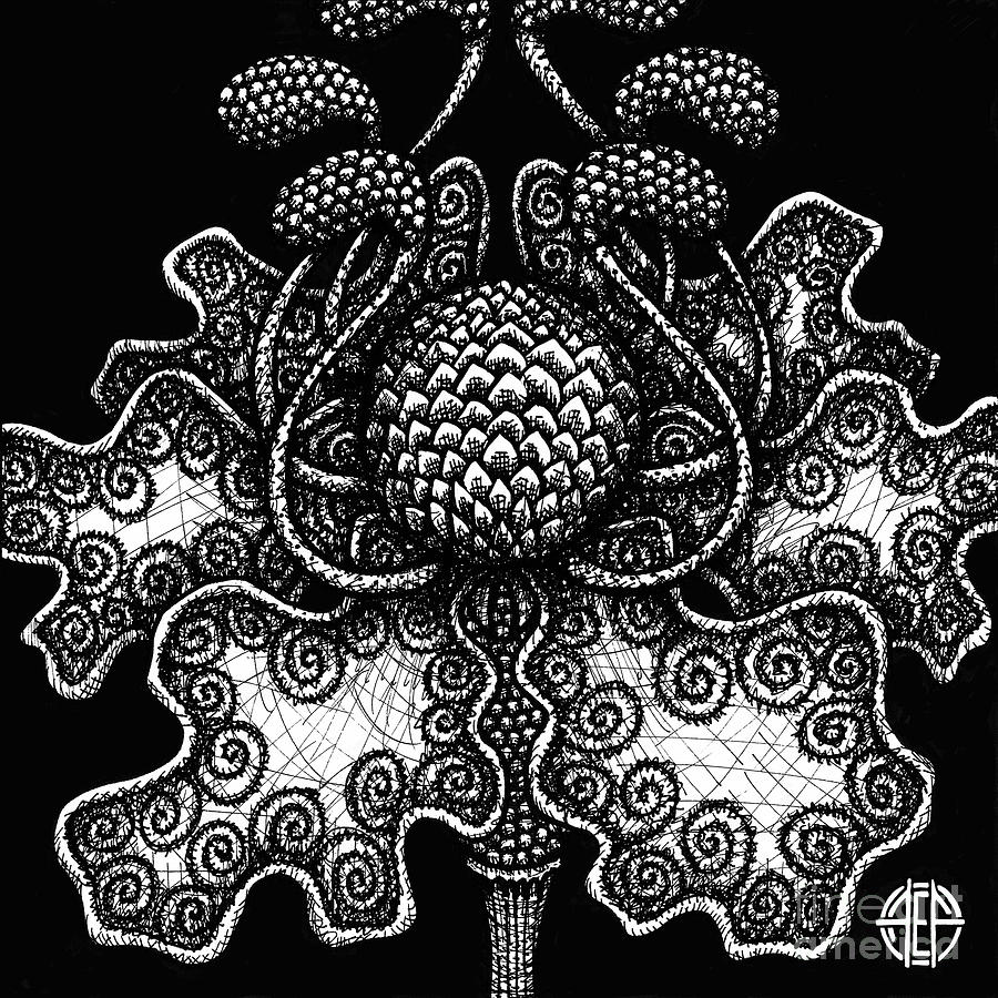 Alien Bloom 18 Black and White Drawing by Amy E Fraser