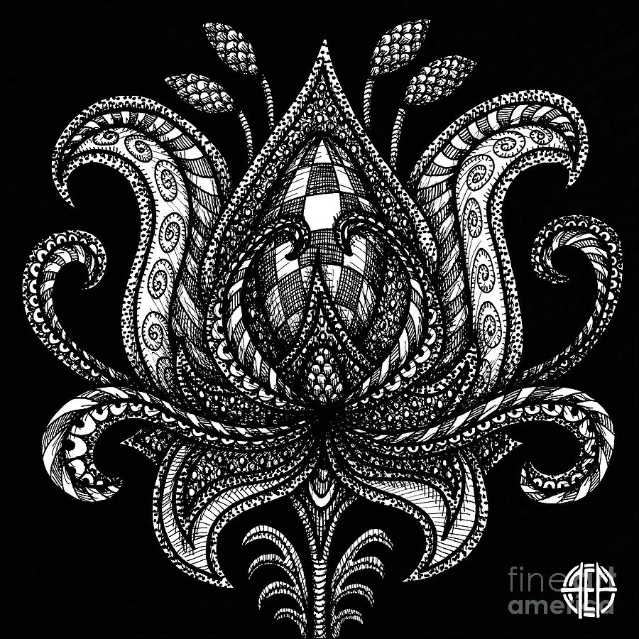 Alien Bloom 28 Black and White Drawing by Amy E Fraser