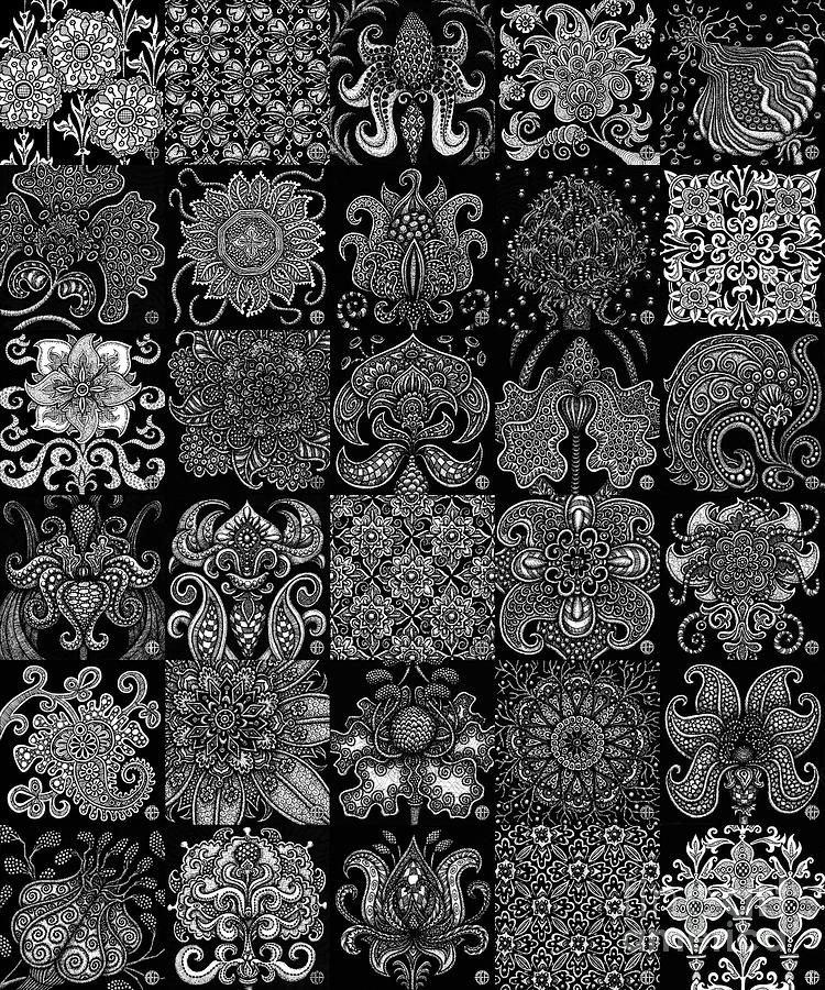 Alien Bloom Patchwork Black Drawing by Amy E Fraser