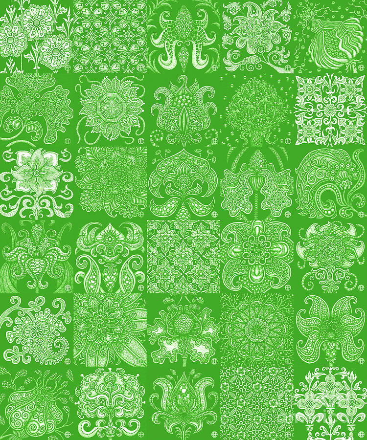 Alien Bloom Patchwork Green Drawing by Amy E Fraser