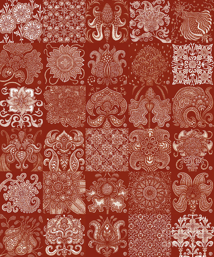 Alien Bloom Patchwork Red Drawing by Amy E Fraser