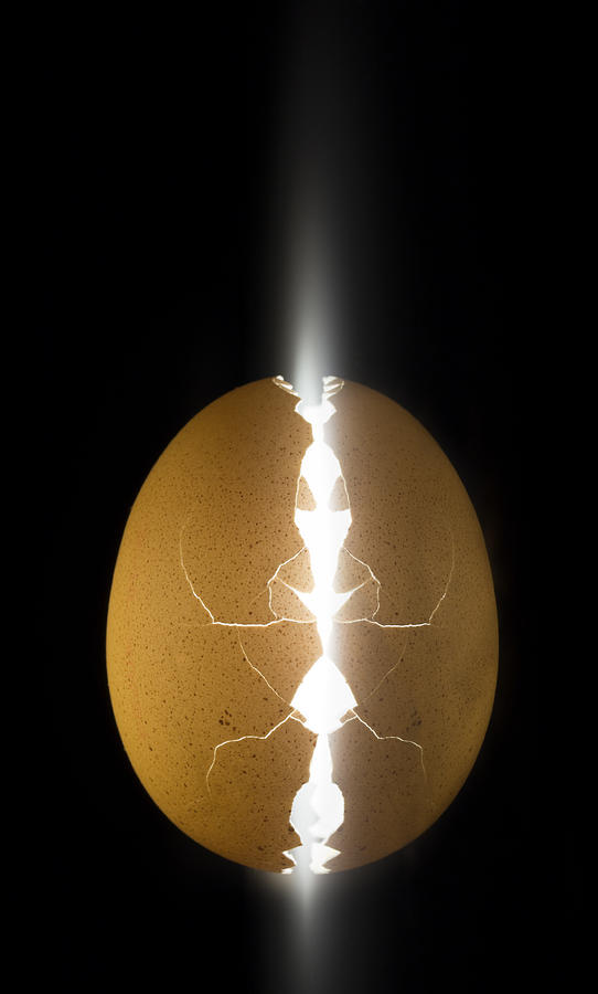 Alien Egg Photograph by Wieteke De Kogel
