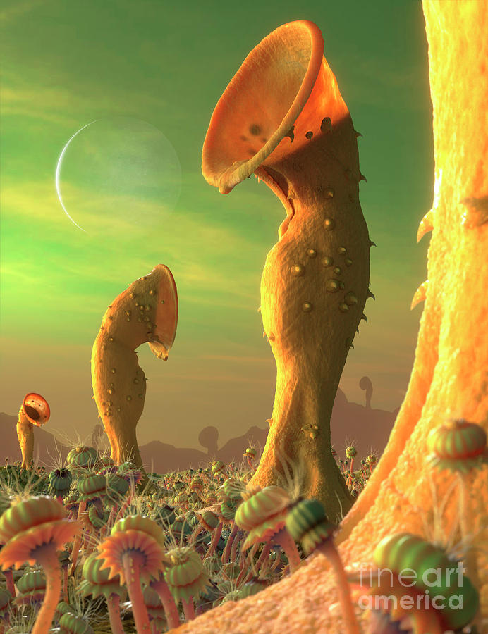 Alien Flora And Fauna On An Exoplanet Photograph by Mark Garlick ...