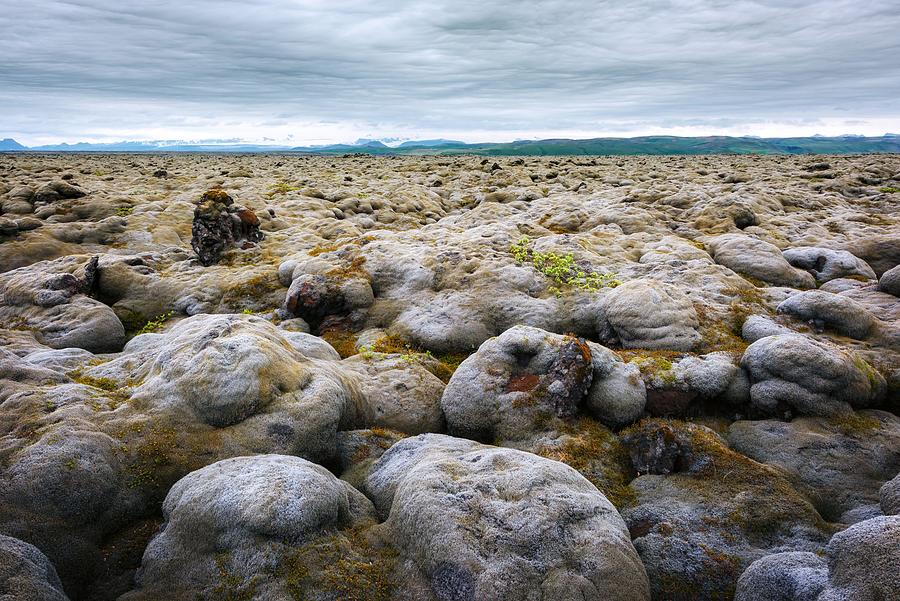 Nature Photograph - Alien Iceland Landscape With Lava Field by Ivan Kmit
