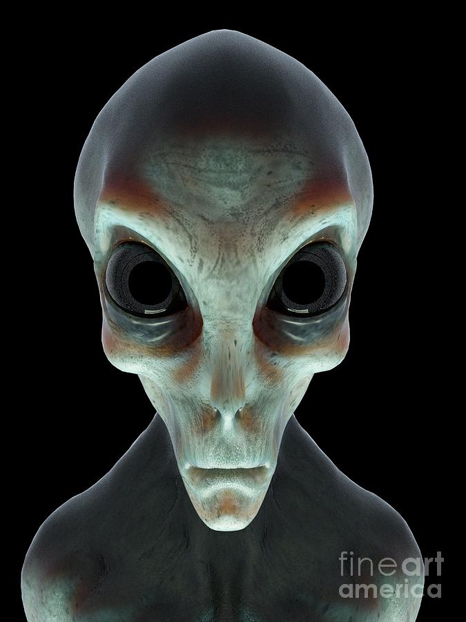 Alien Photograph by Sebastian Kaulitzki/science Photo Library