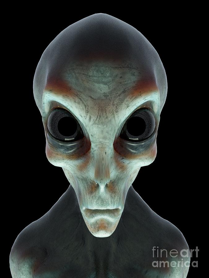 Alien Photograph by Sebastian Kaulitzki/science Photo Library - Pixels