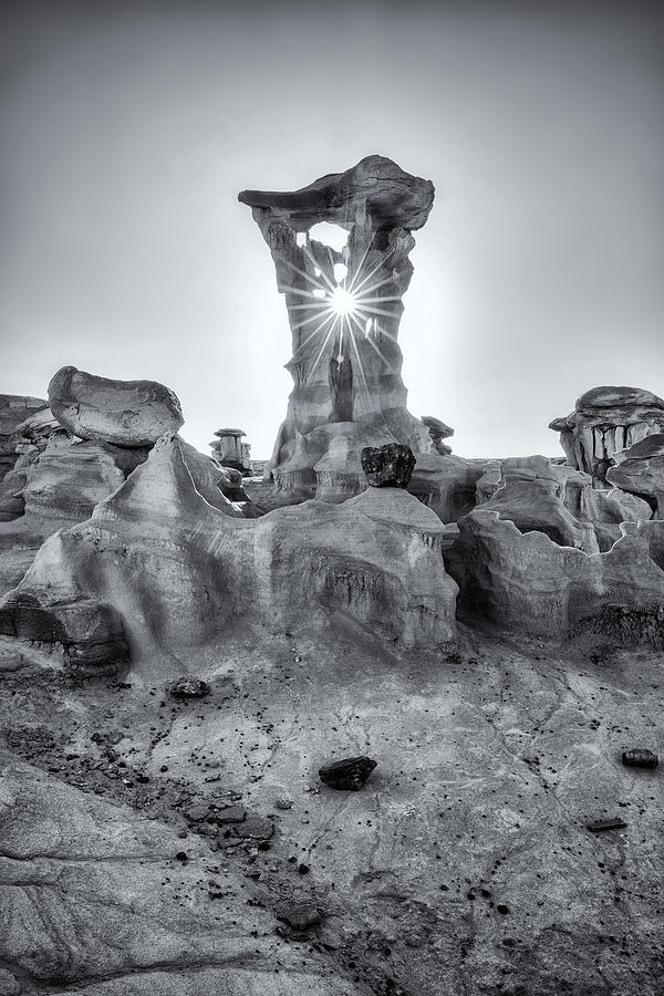 Alien Throne in Black and White Photograph by Alex Mironyuk