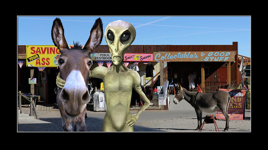 Alien Vacation - Oatman Arizona by Mike McGlothlen Alien Vacation - Oatman Arizona by Mike McGlothlen