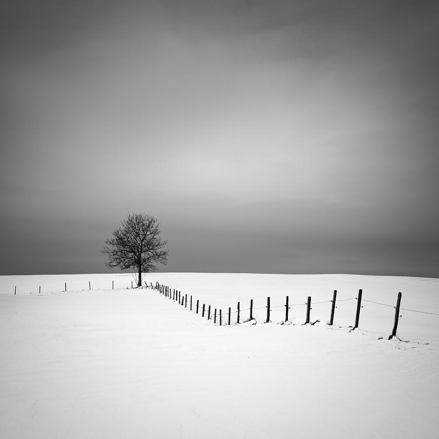 Winter Photograph - Alignment by Alexej Schulz