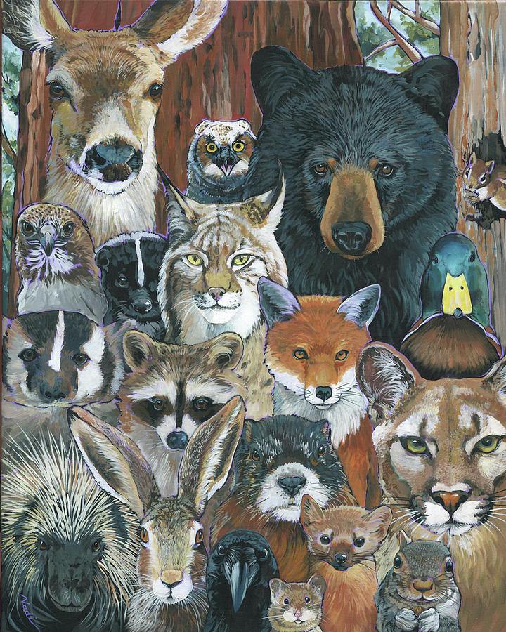 Deer Painting - All Eyes On Me 1 by Nadi Spencer