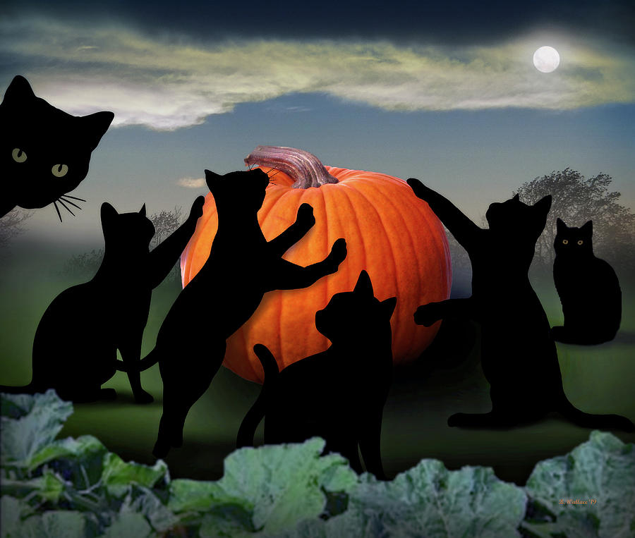 All Hallows Eve Black Cats Digital Art by Brian Wallace