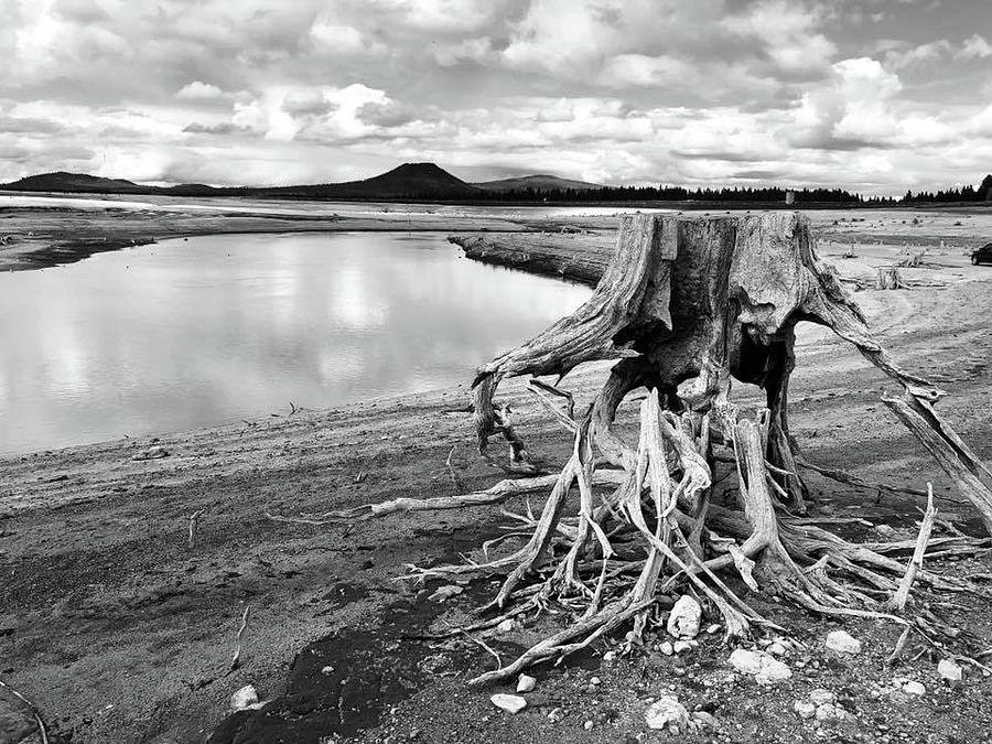 Unique Photograph - All that remains - Wickiup Reservoir, Central Oregon  by Bandie Newton