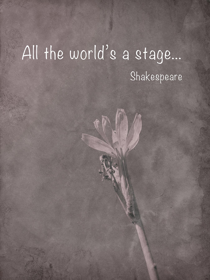 All The Worlds A Stage Photograph