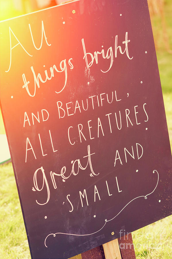 Sign Photograph - All Things Bright and Beautiful by Tim Gainey
