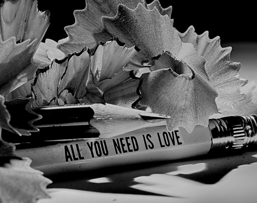 All You Need Is Love Photograph by Razvan Bulus