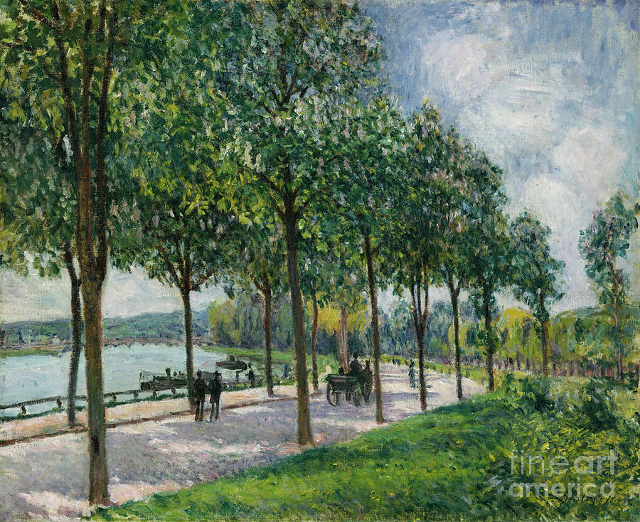 Allée Of Chestnut Trees Drawing by Heritage Images
