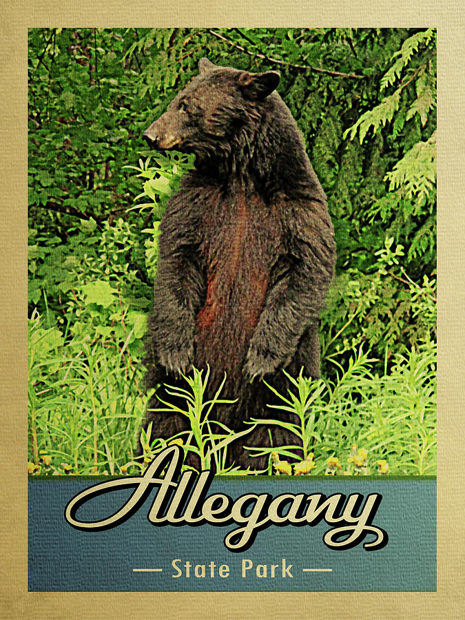 Allegany State Park Vintage Bear Digital Art by Flo Karp