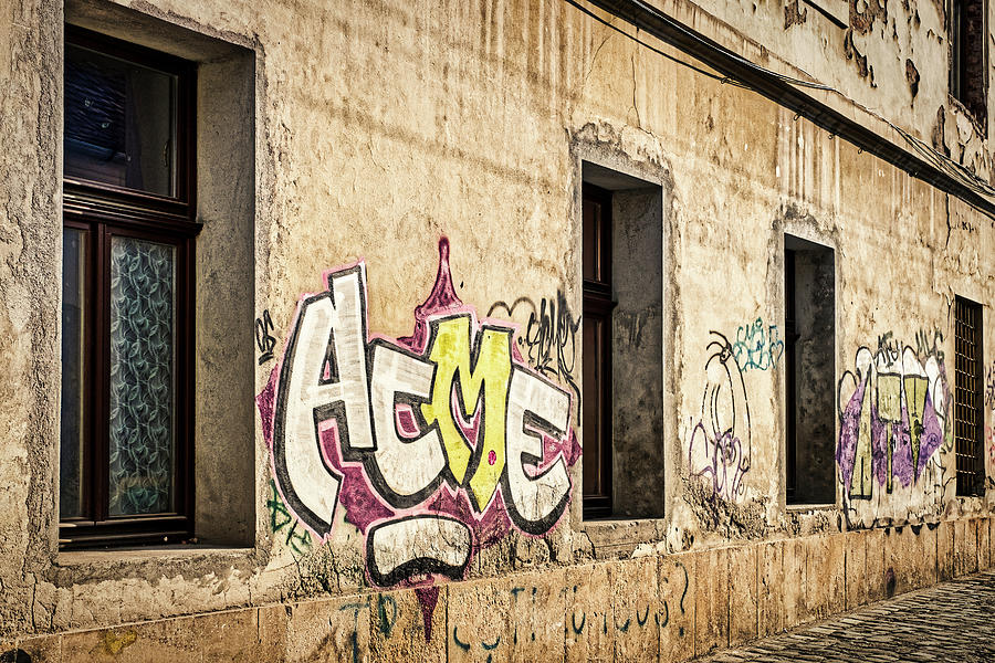 Alley Graffiti and Windows - Romania Photograph by Stuart Litoff