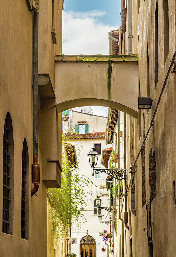 alley in Florence Photograph by Vivida Photo PC