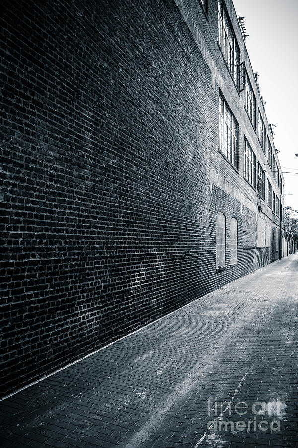 Alleyway Washington DC Photograph by Edward Fielding