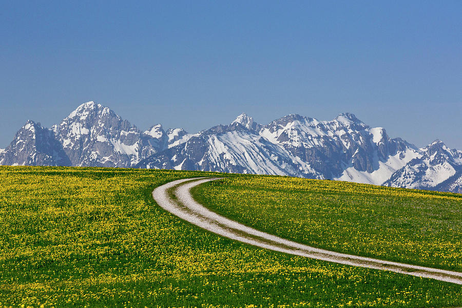 Allgaeu Alps, Swabia, Germany Digital Art by Reinhard Schmid