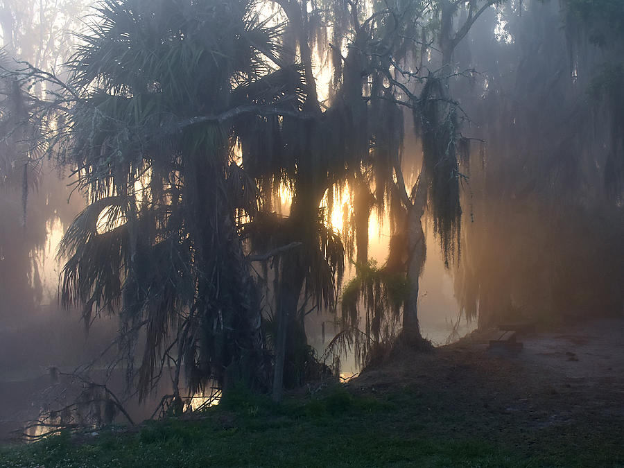 Alligator Alley Sunrise   Photograph by Christopher Mercer