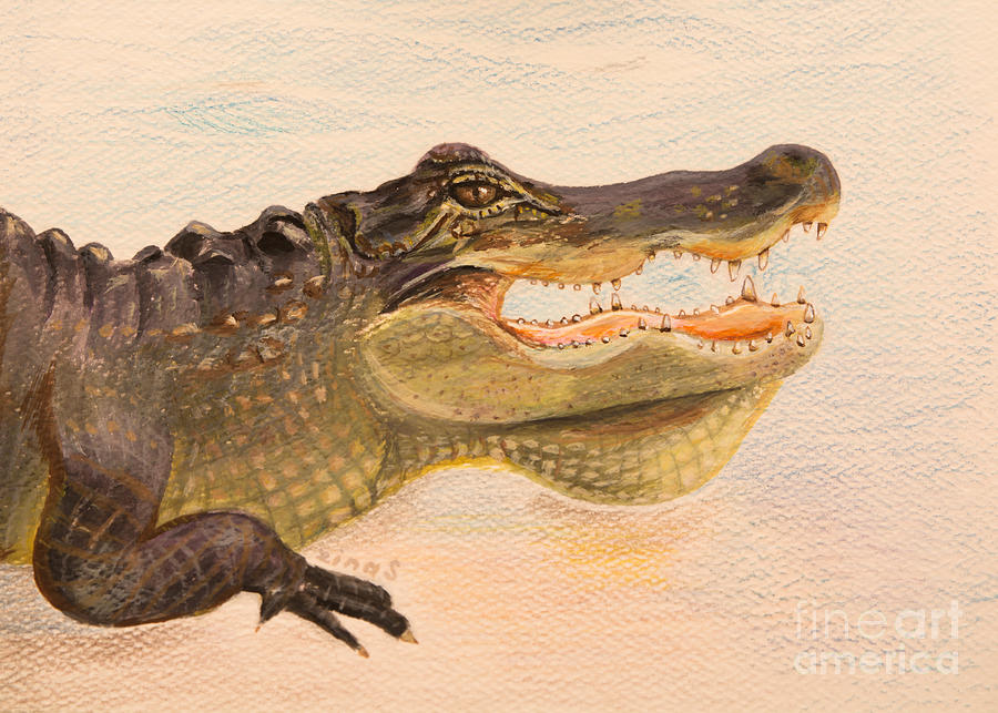 Alligator art Painting by Zina Stromberg