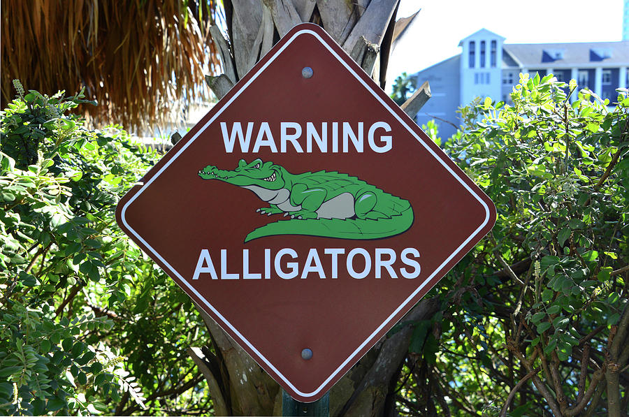 Alligator sign Tampas Riverwalk Photograph by David Lee Thompson