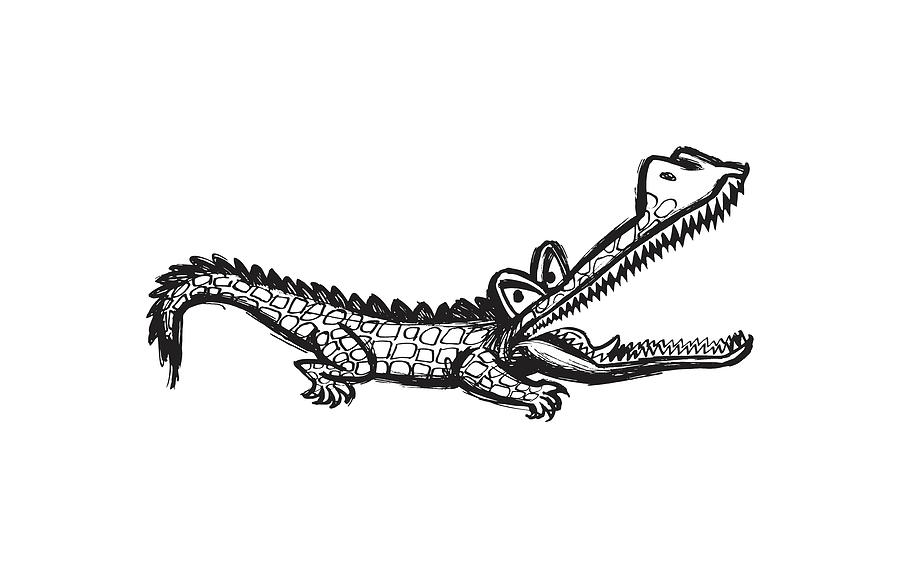 Alligator Drawing - Alligator with Open Mouth by CSA Images